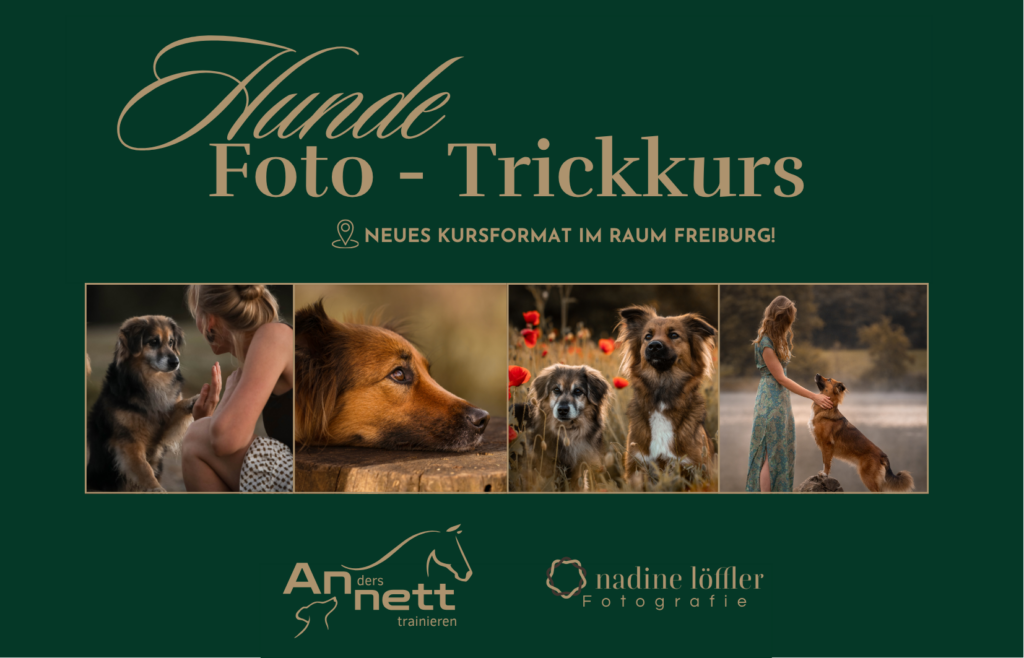 ausschnitt für website(1)